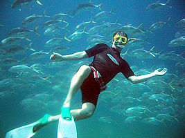 frank toews diving at isabela island off the coast of san blas